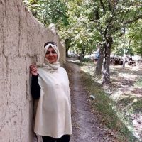 دیوار تفرش